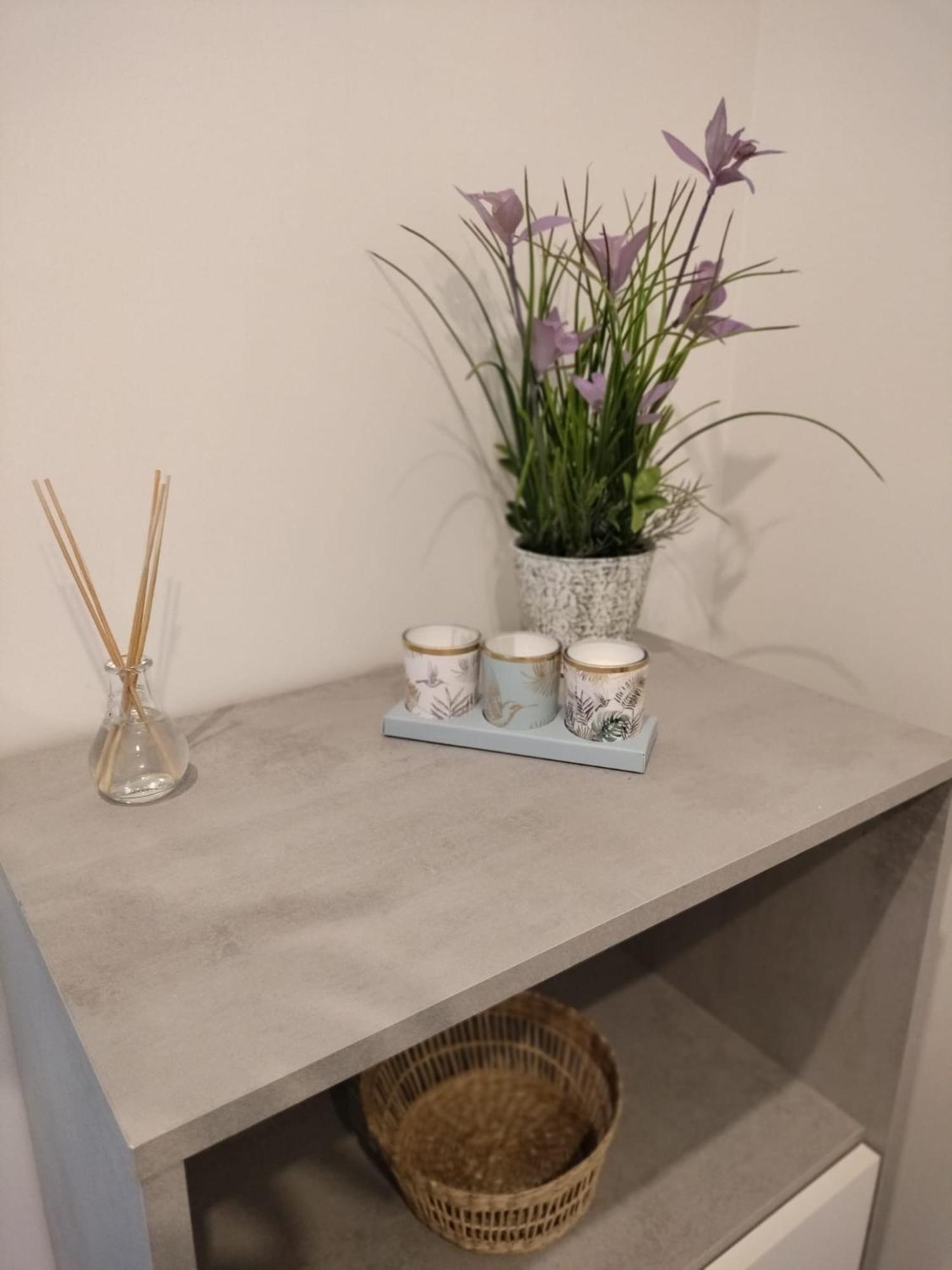 Palmeral Suite 格拉多 外观 照片